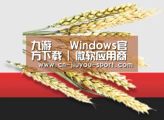 九游 - Windows官方下载 | 微软应用商店 | Microsoft Store