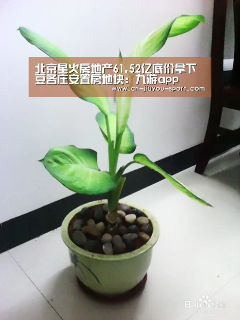 北京星火房地产61.52亿底价拿下豆各庄安置房地块:九游app(图1) 九游下载app